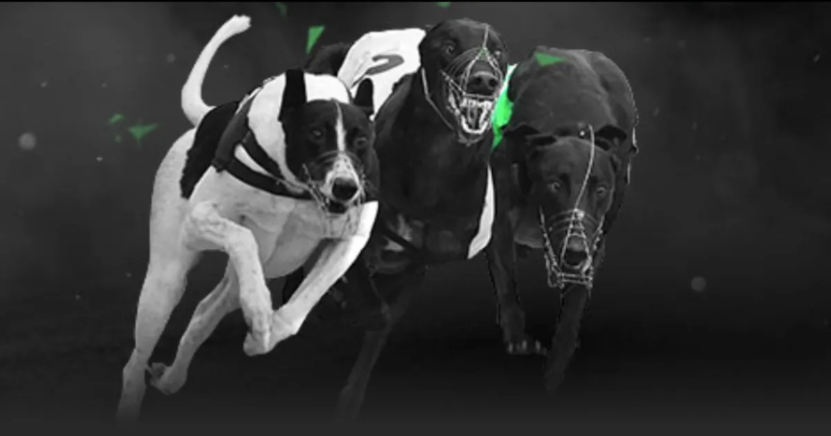 皇马小组赛,首轮意外负,顿涅茨克矿,时时彩,彩票预测,高频彩票,在线投注,彩票平台