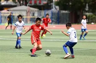 年世界杯,组分析,荷兰领衔,时时彩,彩票预测,高频彩票,在线投注,彩票平台
