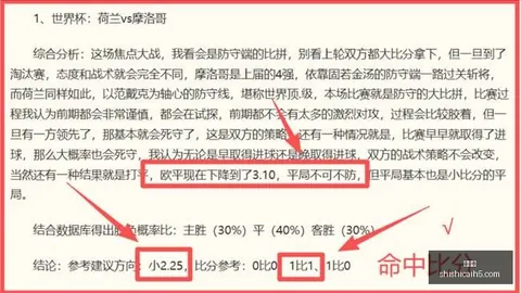 萨普斯堡门将转会动态维京队强势攻防解析：挪超独家情报
