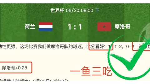 独家解析：山猫对决火焰，比赛前瞻与技巧指南